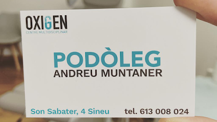 Podòleg Andreu Muntaner