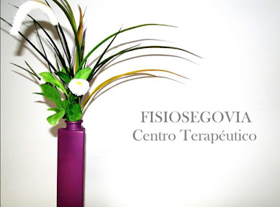 Fisiosegovia