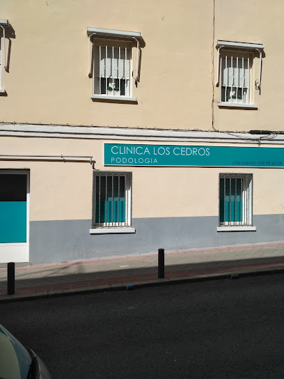 Clinica Los Cedros