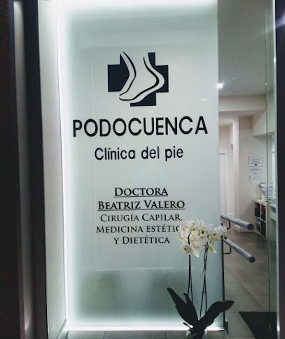 Podocuenca