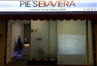 PIES BAVIERA